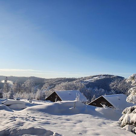 Szczyrkowe Zacisze Villa Bagian luar foto